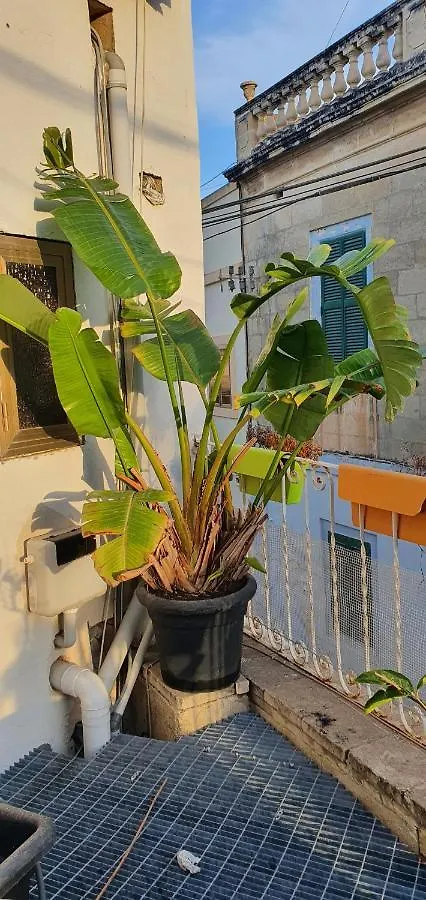 Apartmán Sunshell Lija 0*,